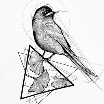 воробей эскиз