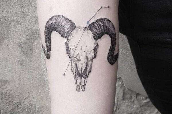 сузір'я Овна