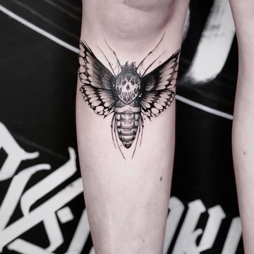 Tattoo training in Kolomyia