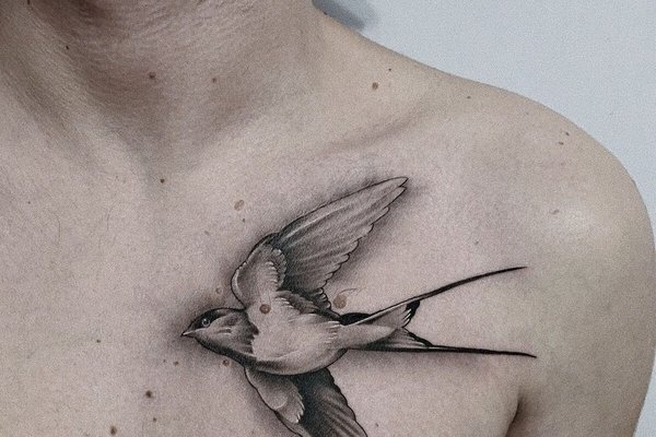 Татустудія в Дубно