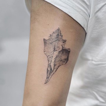 Тату - ескізи "Мушля"