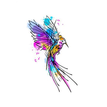 Тату эскизы колибри