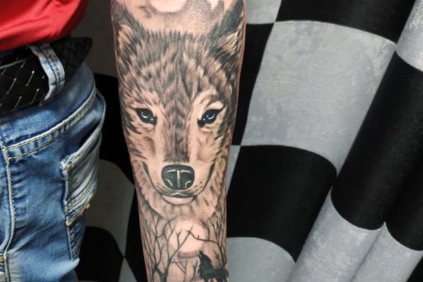 Basics of the training program