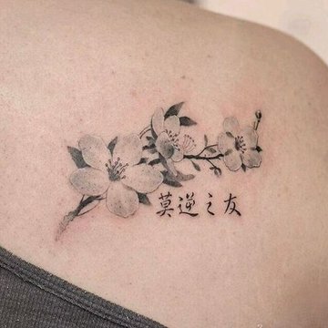 тату жасмин