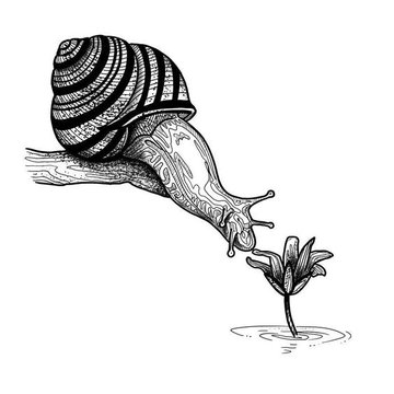 Тату - ескізи "Равлик"