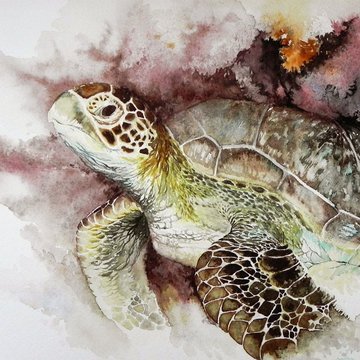 Тату эскизы черепаха