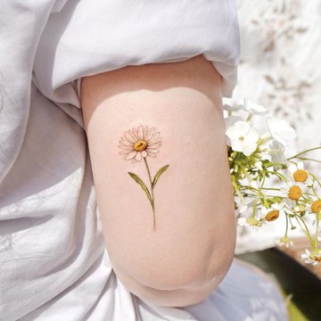 Тату-ескізи "Ромашка"