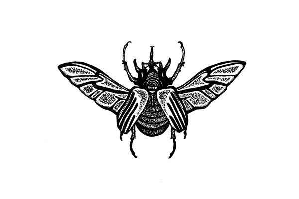 Тату-эскиз жук