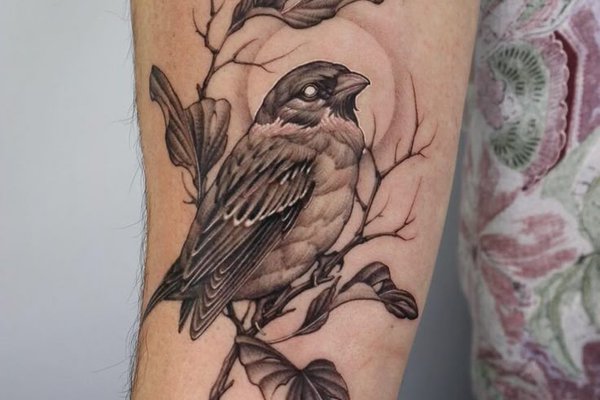 тату птицы значение