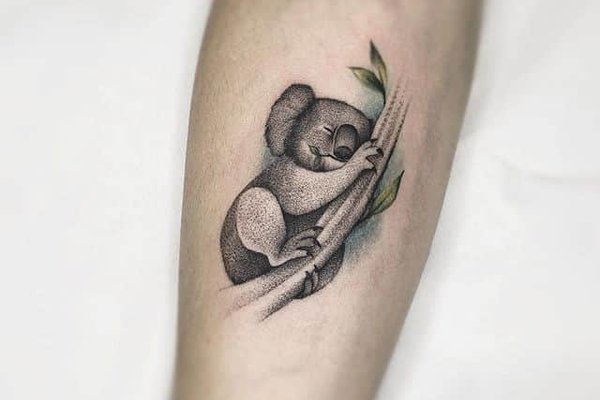 Тату-эскиз коала