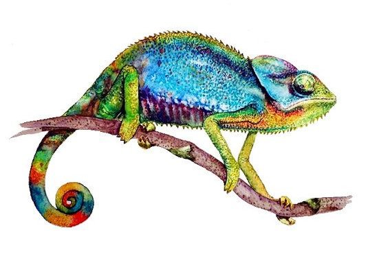 Тату-ескізи "Хамелеон"