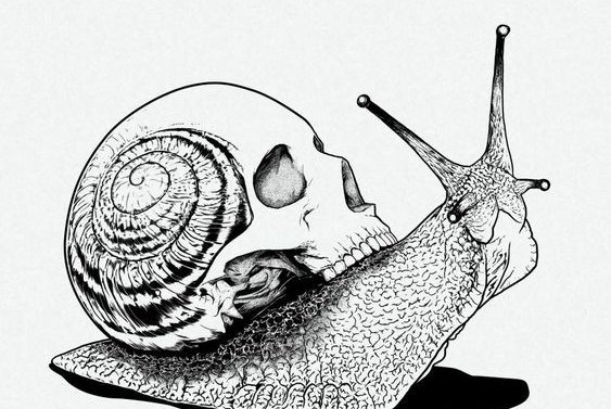 Тату - ескізи "Равлик"