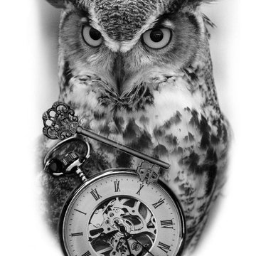 Тату-ескізи "Сова"