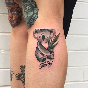 Тату-эскиз коала