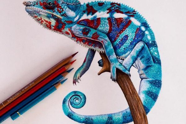 Тату эскизы ящерицы