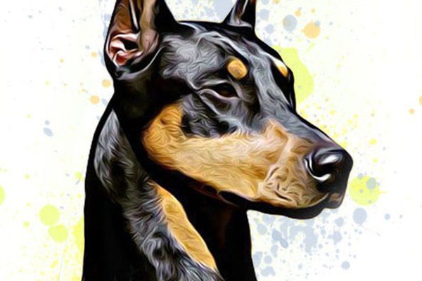 Тату эскизы доберман