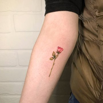 Тату-ескізи "Троянди"