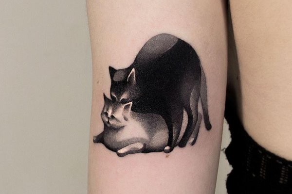 Тату эскизы коты