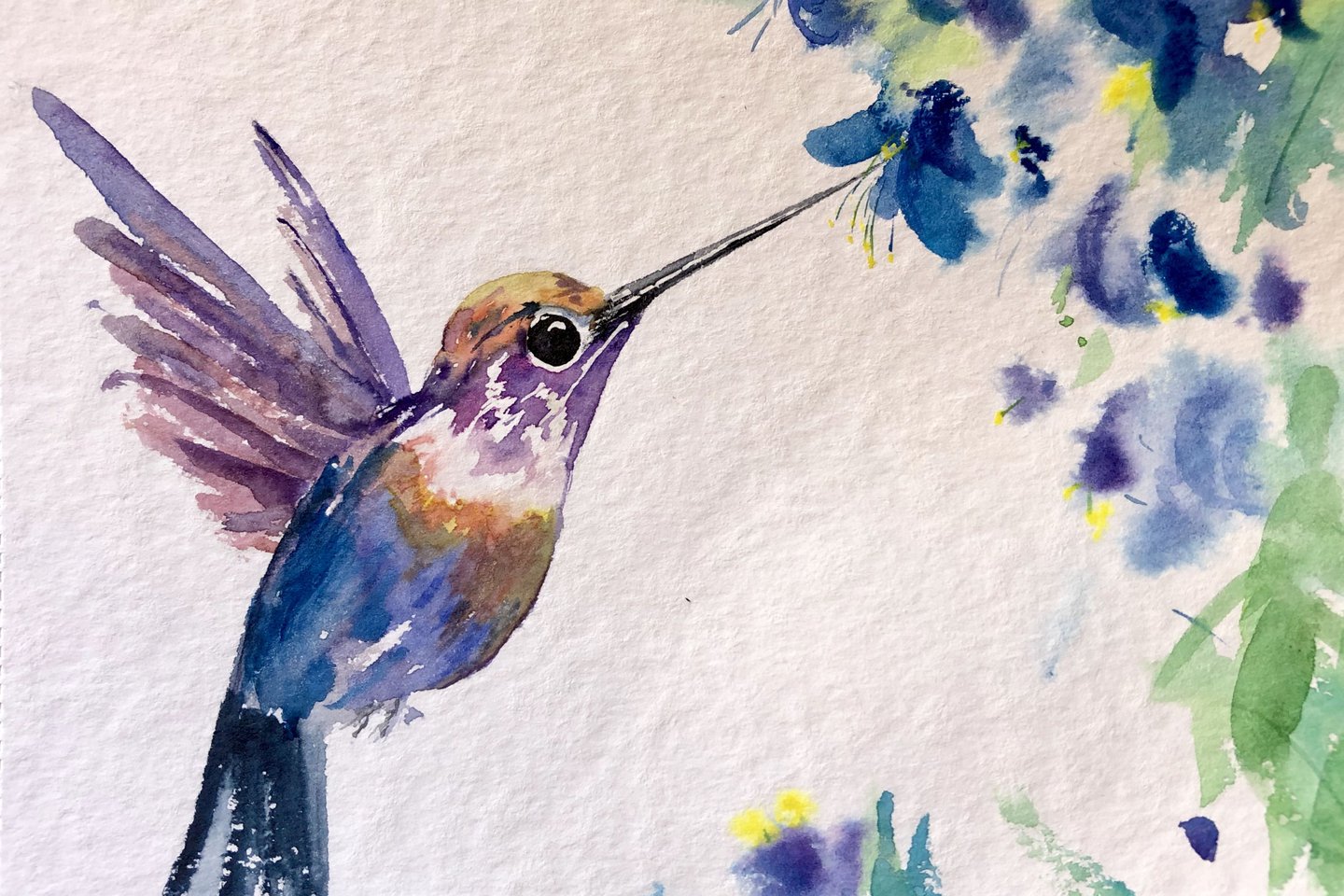 Тату эскизы колибри