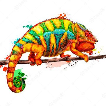 Тату-ескізи "Хамелеон"