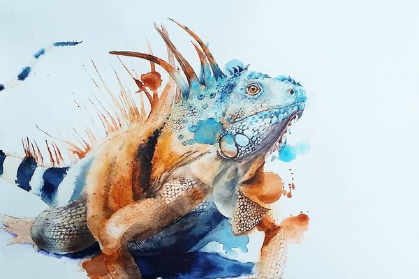 Тату ескізи ігуани
