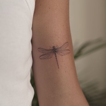 Тату - эскизы стрекоза