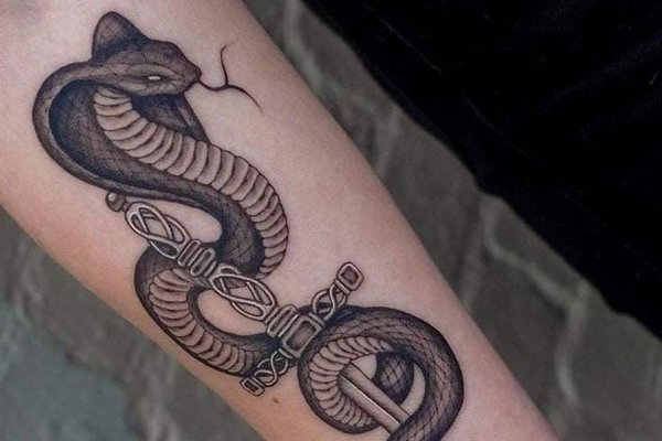 тату кобра значення ескіз