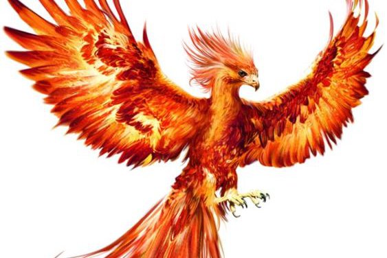 Тату ескізи "Фенікс"