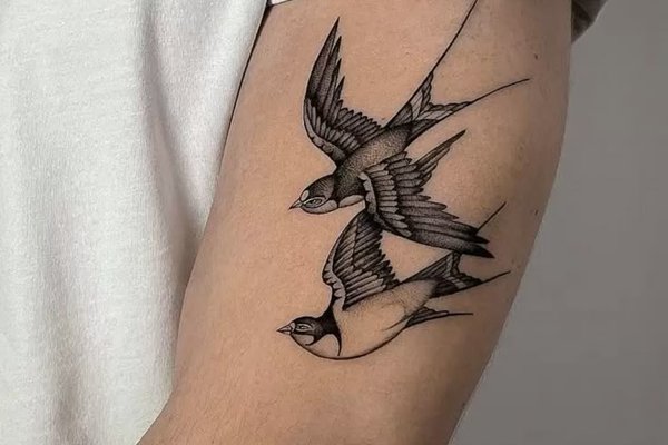 Тату эскизы ласточка