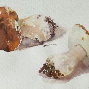 тату-эскиз грибы