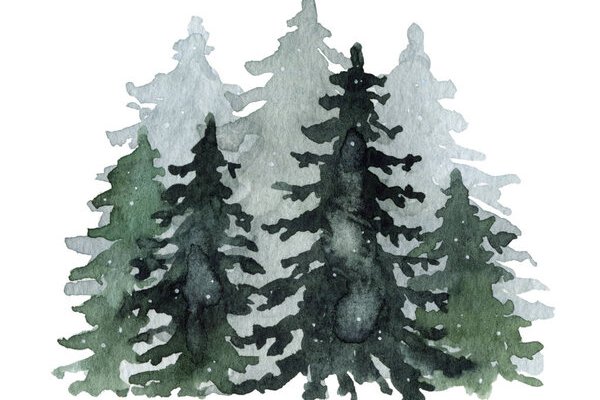 Тату эскизы ель