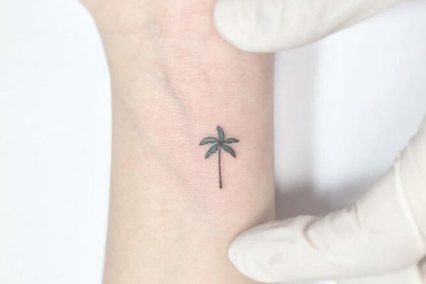 Тату-ескізи "Пальма"