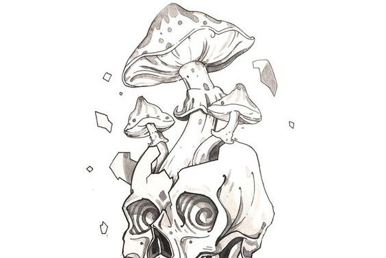 тату эскиз грибочка