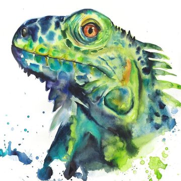 Тату эскизы игуаны