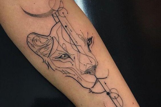 созвездие Льва