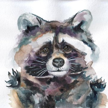 Тату ескізи єнот