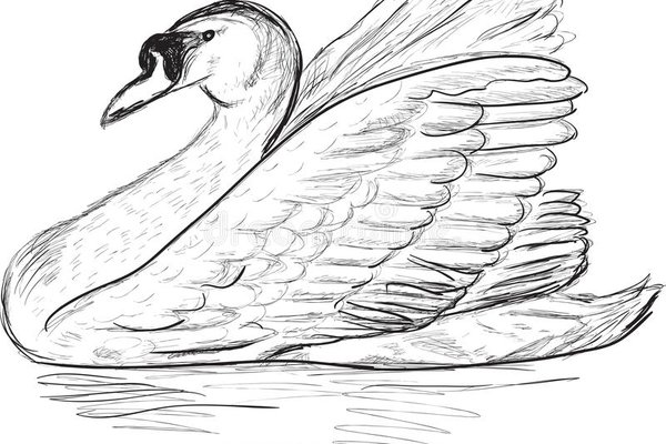 Тату-ескіз лебідь