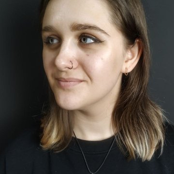 Модифікації в Нікополі