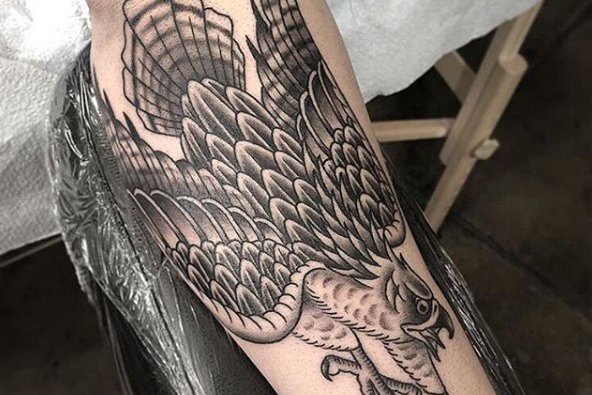 Тату-эскизы ястреба