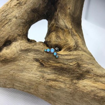 Модификация тела в Днепре