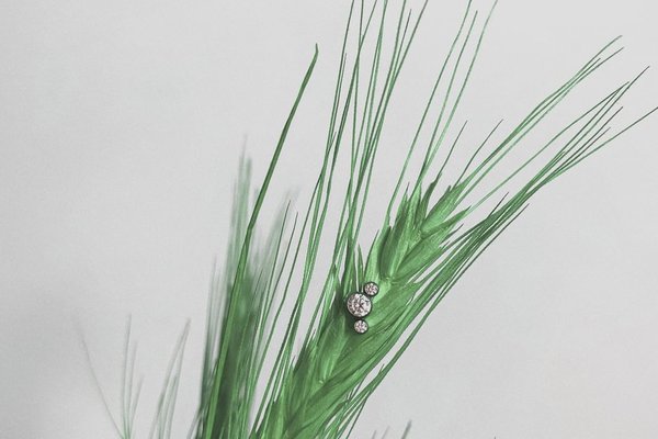 Украшения для пирсинга