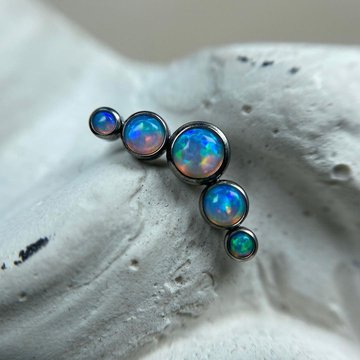 Модификация тела в Днепре