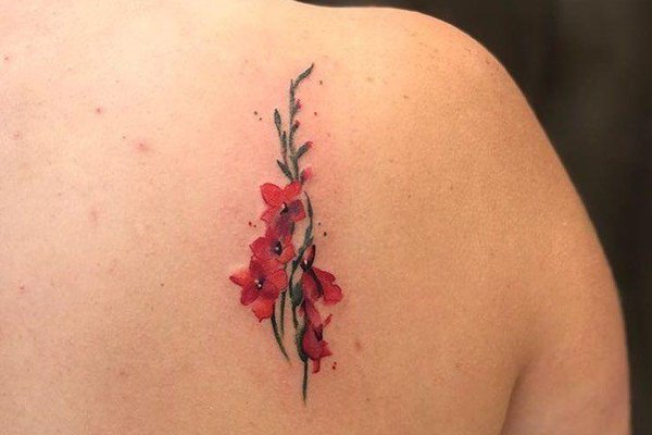 Тату ескізи гладіолус