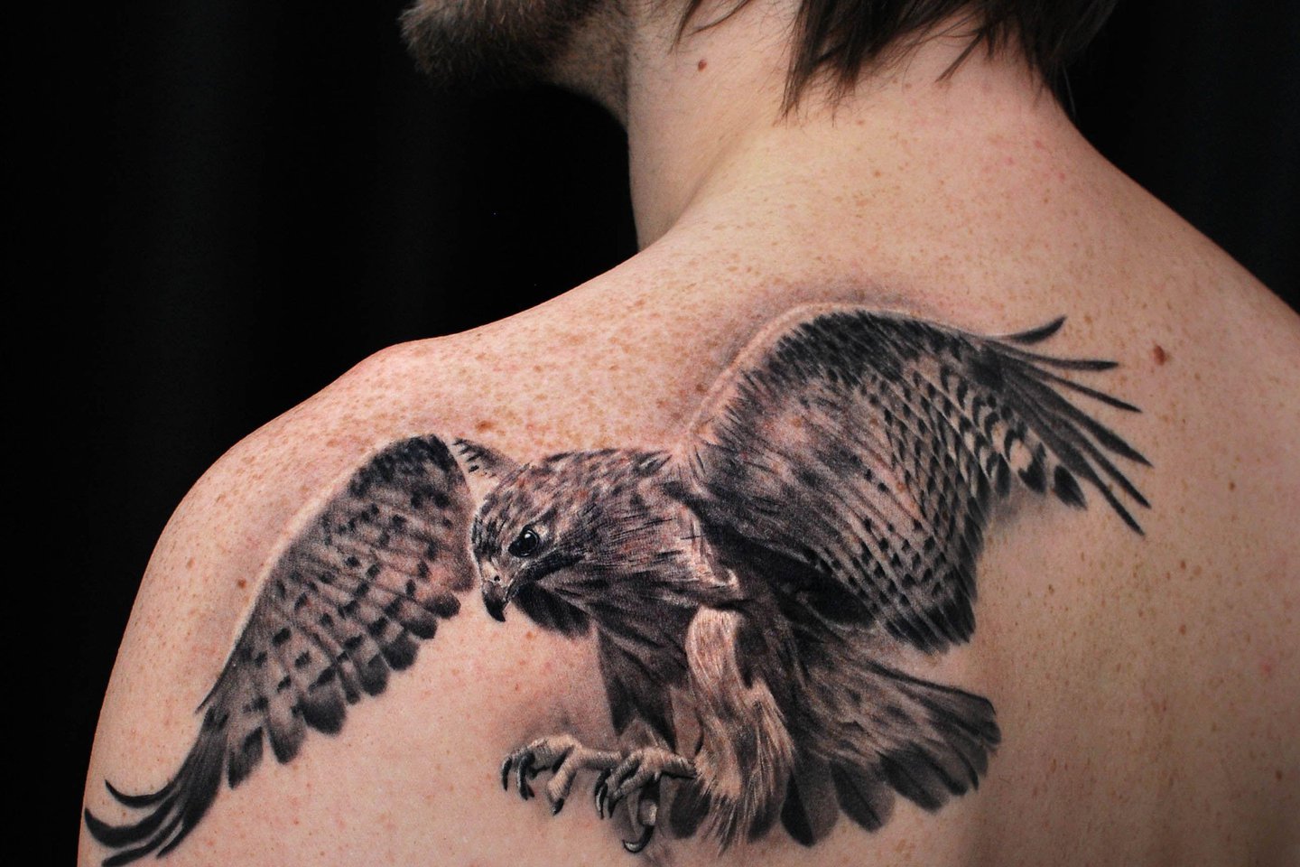 Тату-ескіз "Яструб"