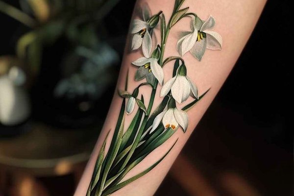 значення підсніжника