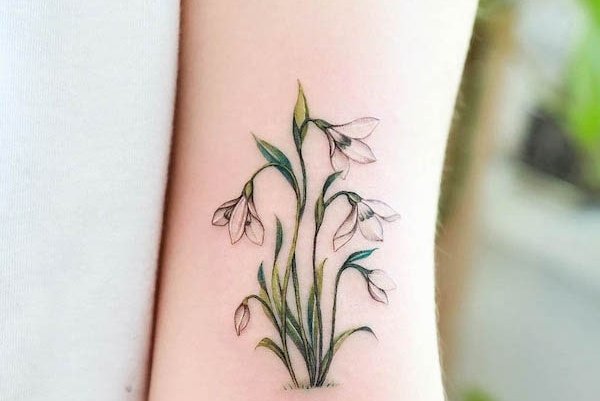 подснежник татуировка