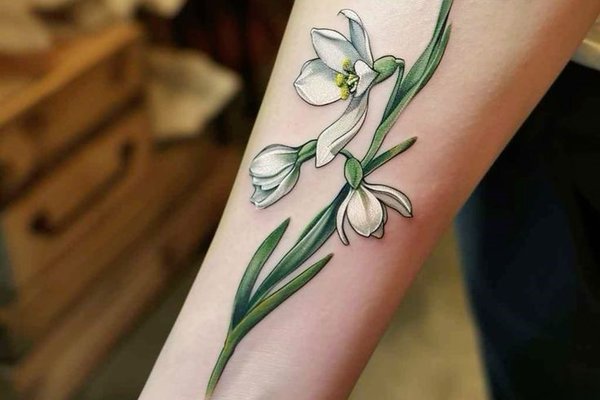 значение подснежника