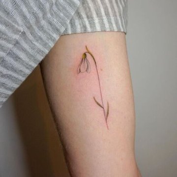 символика подснежника