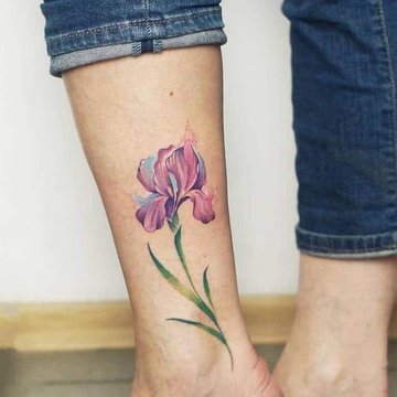 символіка ірису