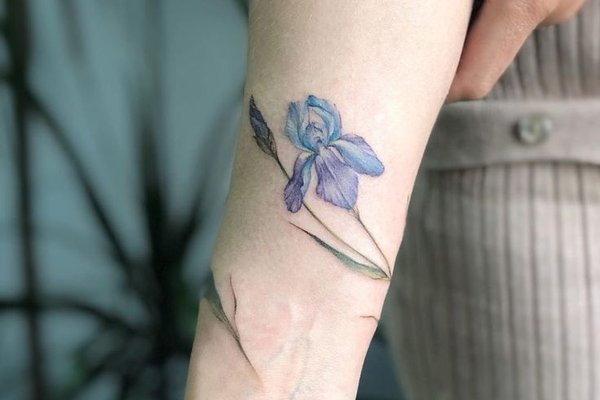 символіка ірису